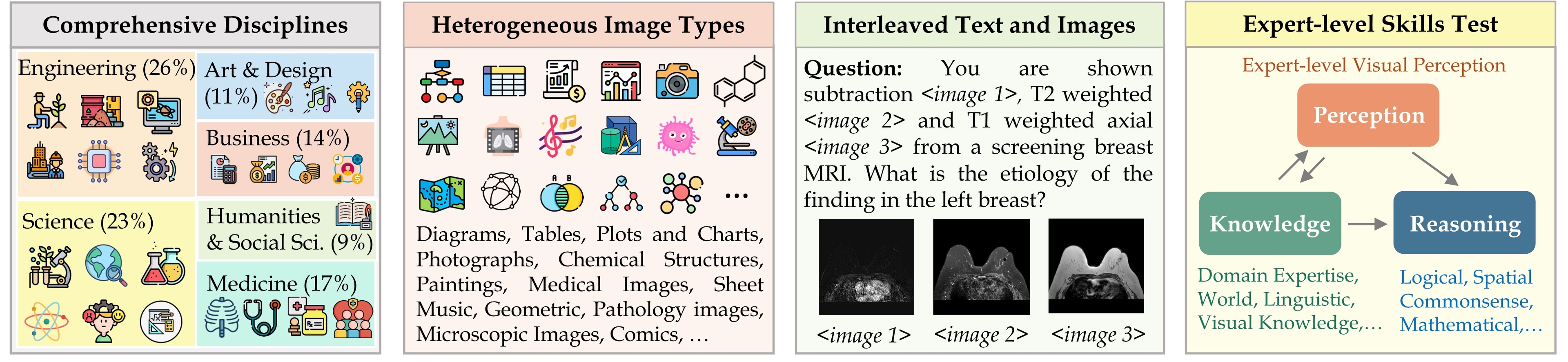 MMMU Evaluation