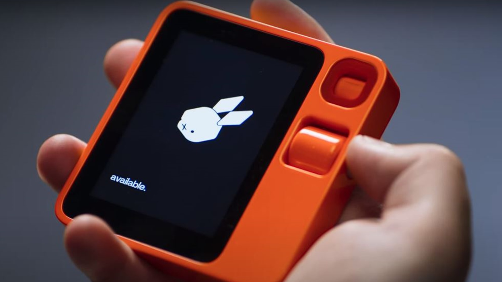 Klu Rabbit R1